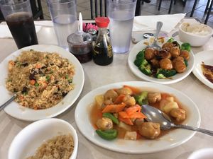Combination fried rice, Sweet and Sour chicken and Orange chicken. All vegan!! at Veggie Express in Frisco