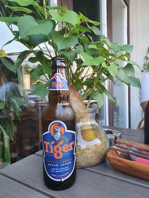  at Anh Dao in Berlin