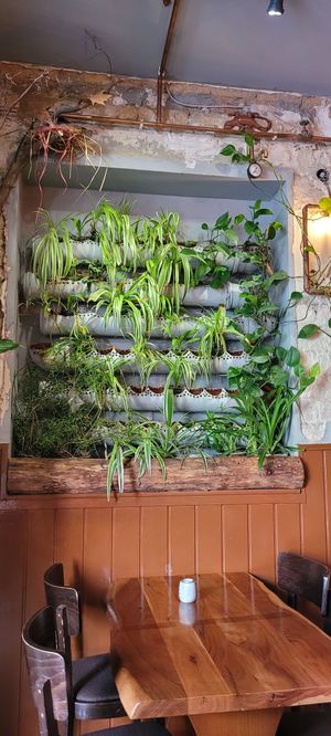 Blühende Wand at Anh Dao in Berlin