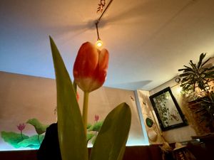 inside #Veganuary at Anh Dao in Berlin