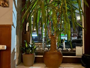 inside  at Anh Dao in Berlin