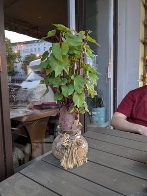  at Anh Dao in Berlin