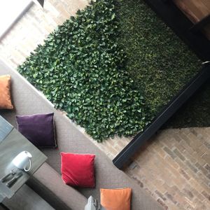 Saye's choice  at Leaf Restaurant in Cancun