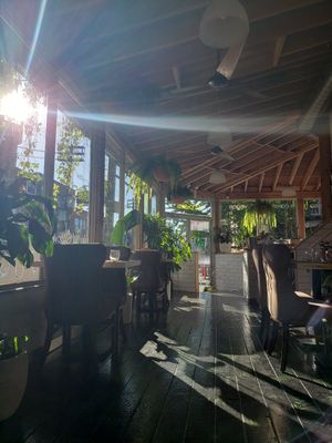 Sunkissed at Urban Herbivore - Kensington Market in Toronto