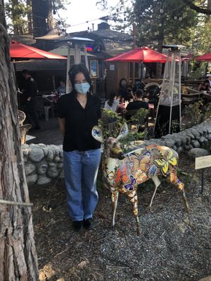 this has nothing to do with the cafe. this deer do be my homie doe. 🙈 at El Buen Cacao in Idyllwild