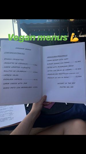 The vegan menu  at Dolmen Bar in Lanzarote