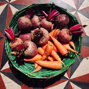 Local organic beets and carrots from Byoearth that we use in our restaurant!  at La Casa de Cervantes in Guatemala City