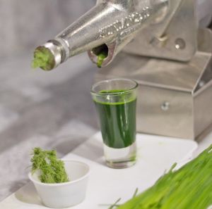 Fresh wheat grass juice SpaJuiceBar at SpaJuiceBar in Fort Lauderdale