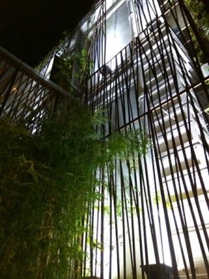 Outside at Uu Dam Chay in Hanoi