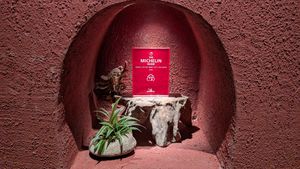 Michelin? Really? Can't be... at Uu Dam Chay in Hanoi