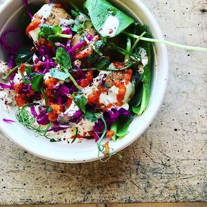 Falafel bowl with hummus, chopped salad, pickled cabbage, tahini sauce and harissa at gud in Altrincham