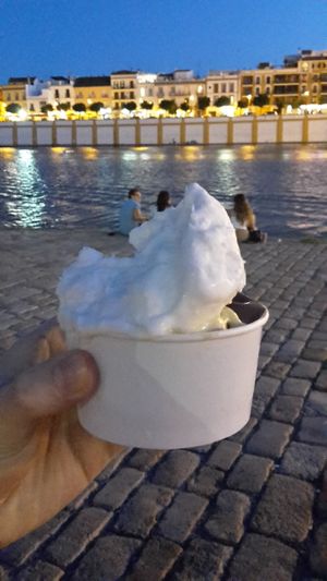 vegan coconut ice cream. has dessicated coconut in it. delicious. at Puro & Bio in Sevilla