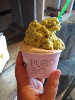 Pistachio, and ginger & cinnamon vegan gelato at Puro & Bio in Sevilla