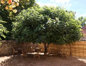 Garden Table Seating at SmooVie Grignotheque in Saint-leon-sur-vezere
