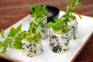 Daikon Pesto Rolls at Greenlight Cafe & Bar in Koh Samui