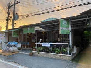   at Greenlight Cafe & Bar in Koh Samui