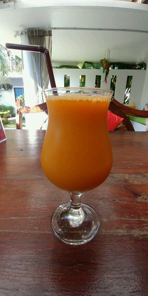 orange sun juice  at Greenlight Cafe & Bar in Koh Samui