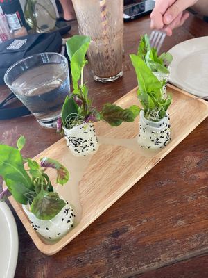 Pesto rolls  at Greenlight Cafe & Bar in Koh Samui