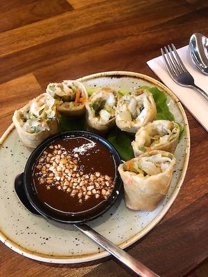 vegan spring rolls with hoisin peanut dip at Tampopo in Manchester