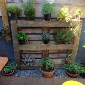 on site herb garden used in cooking at Home Coffee - Southsea in Portsmouth