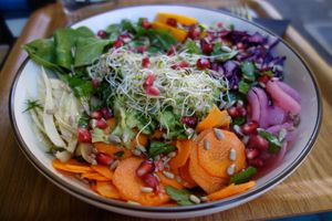Vegan bowl with carrots, white and red cabbages, spinach, sprouts, onions, green lentils, avocado, guacamole, pomegranate, and dressing at Green Bowl in Aix-en-provence