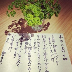 lunch menu 2016,06,05 at Shanti Yoga Vegan Cafe in Hiroshima