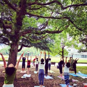 they have a free Sunday morning yoga at peace memorial park  at Shanti Yoga Vegan Cafe in Hiroshima