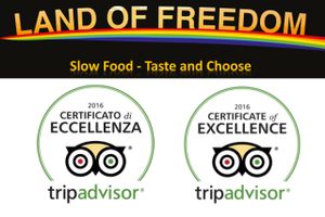 Tripadvisor certificate excellence at Land of Freedom in Fuerteventura