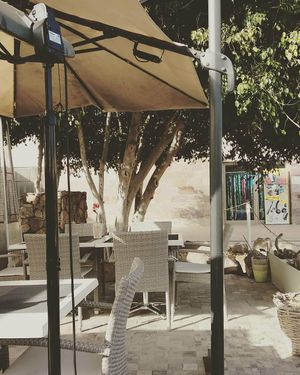 Outside dining area at Land of Freedom in Fuerteventura