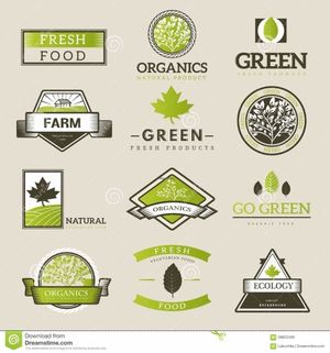 green fresh nature at Green Iguana Bar in Malaga