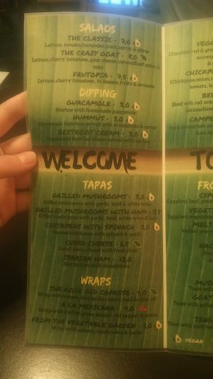 menu, English at Green Iguana Bar in Malaga