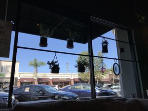 View from inside at EVE in Encinitas