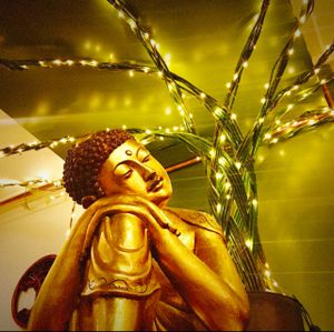love the light tree and the Buddha  at Amala Conscious Food in Bournemouth