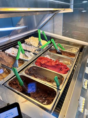 Ice cream flavors  at Vegestacja in Warsaw