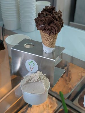 Lody o smaku czekoladowym w wafelku i kawowe z nerkowcem (bez cukru) at Vegestacja in Warsaw