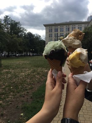 the best ice creams I've ever tried in my entire life  at Vegestacja in Warsaw
