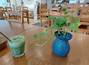 Matcha Latte 抹茶豆奶 (Soymilk, Vegan) at LN Fortunate Coffee 幸福咖啡 - Kwai Hing in New Territories