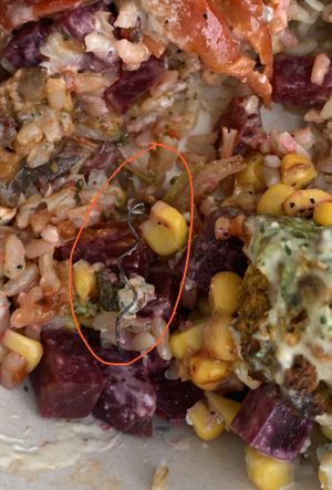 Metal found in food  at Happy + Hale in Durham