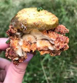 Hot Oyster Mushrooms at Berben & Wolff's in Albany