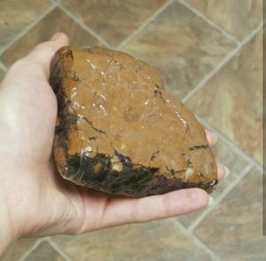 Their DELICIOUS brownie, honestly the best I've had at Berben & Wolff's in Albany