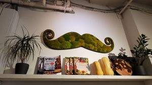  at The Green Moustache - Alpha Lake in Whistler