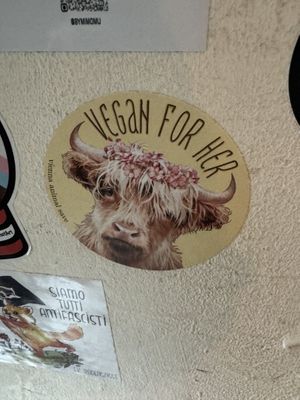  #Veganuary at Cafe Neue Liebe in Berlin