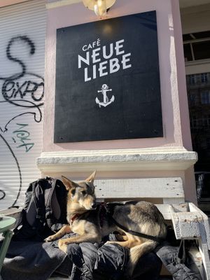   at Cafe Neue Liebe in Berlin