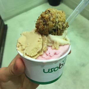 vegan ice cream: rose water, snickers and ginger + vegan almond biscuit  at Bio & Chocolate in Siena