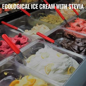 helados ecológicos con Stevia  at Bio & Chocolate in Siena