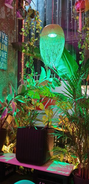  at Sanissimo - Opera in Madrid