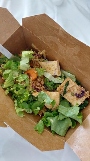 Lots of Tofu (more underneath the rice) at Chau VeggiExpress - Granville Island Stall in Vancouver