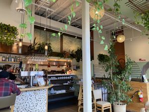 Leaf Veggie Restaurant, Boulder  at Leaf Vegetarian Restaurant in Boulder