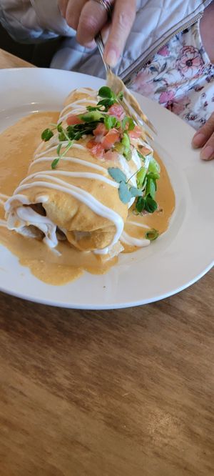 Smothered Burrito at Leaf Vegetarian Restaurant in Boulder