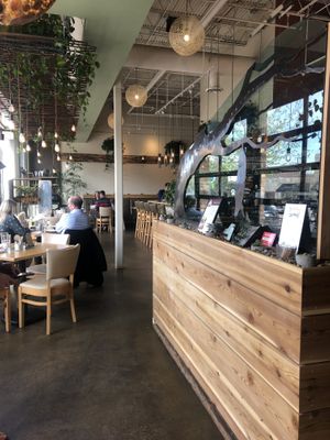 Cute! at Leaf Vegetarian Restaurant in Boulder